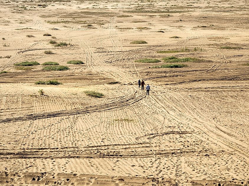 Blendow Desert (Pustynia Blendowska) in Poland