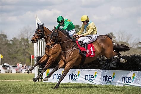 Racers at the annual Carolina Cup Steeplechase, which holds National Steeplechase Association attendance record of 71,000 people.