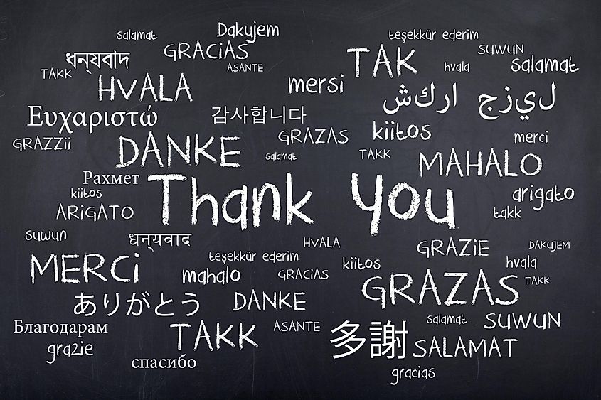 How many languages are there in the world?