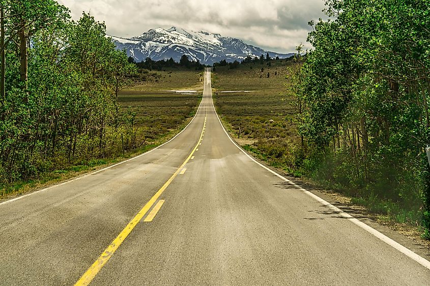 The road through Monitor Pass, offering grand views of the scenic landscape.