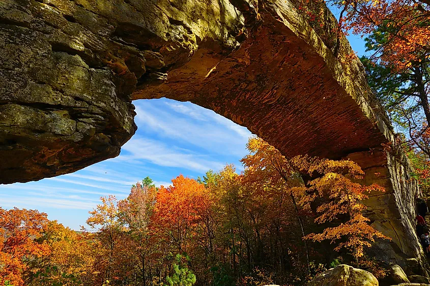 Fall colors at Natural Bridge State Resort Park, Red River Gorge, Kentucky.