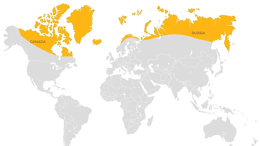 The extremely low precipitation in the Arctic region makes it classify as a cold desert.