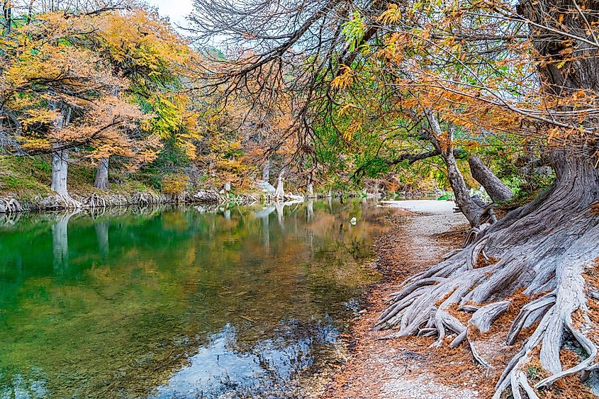 Guadalupe River State Park