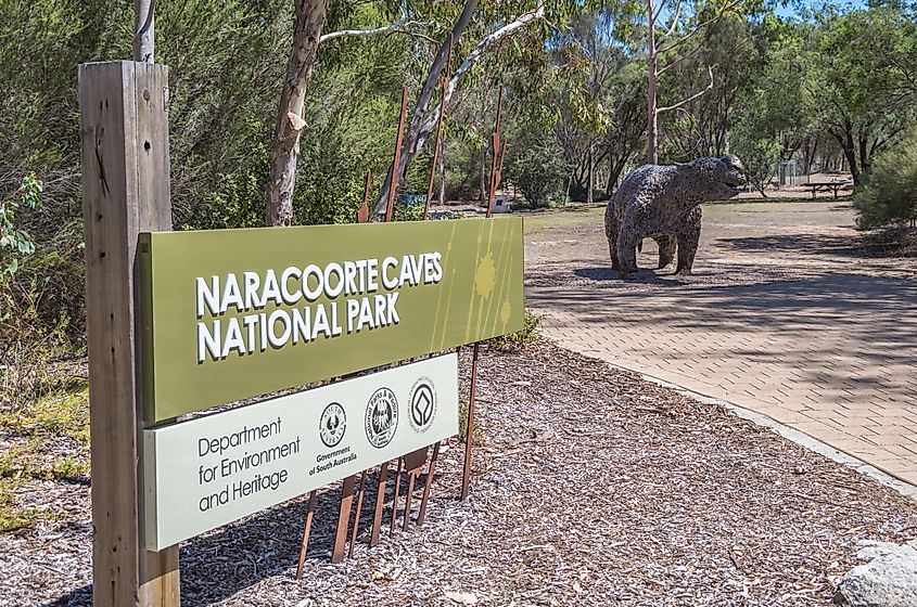 Naracoorte Caves National Park, SA (Editorial credit: Sean Heatley / Shutterstock.com)