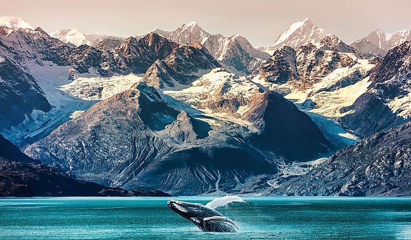 Alaska whale watching boat excursion. Inside passage mountain range landscape.