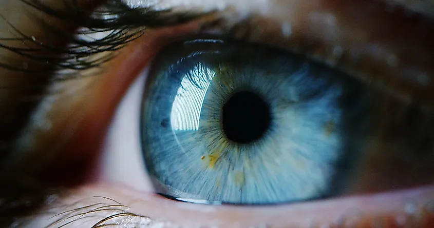 Nationalities with a high percentage of blue-eyed people - wide 7