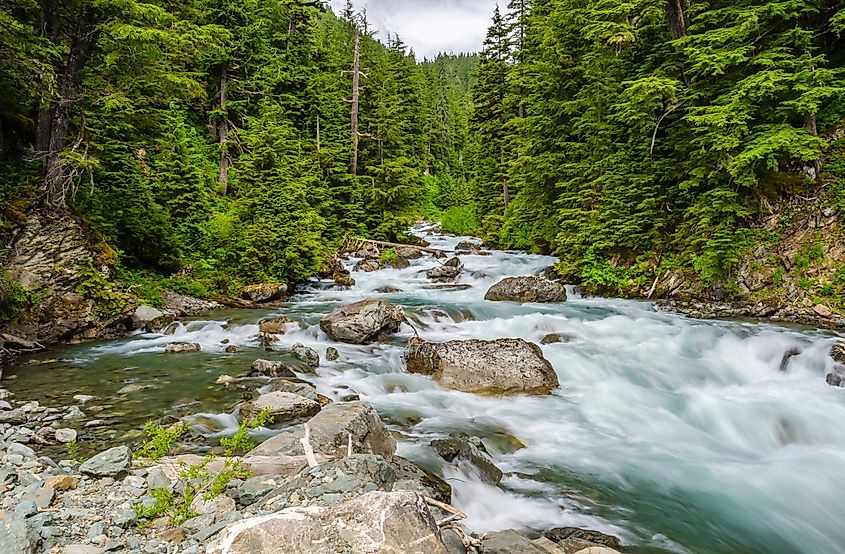 Chugach National Forest, Alaska