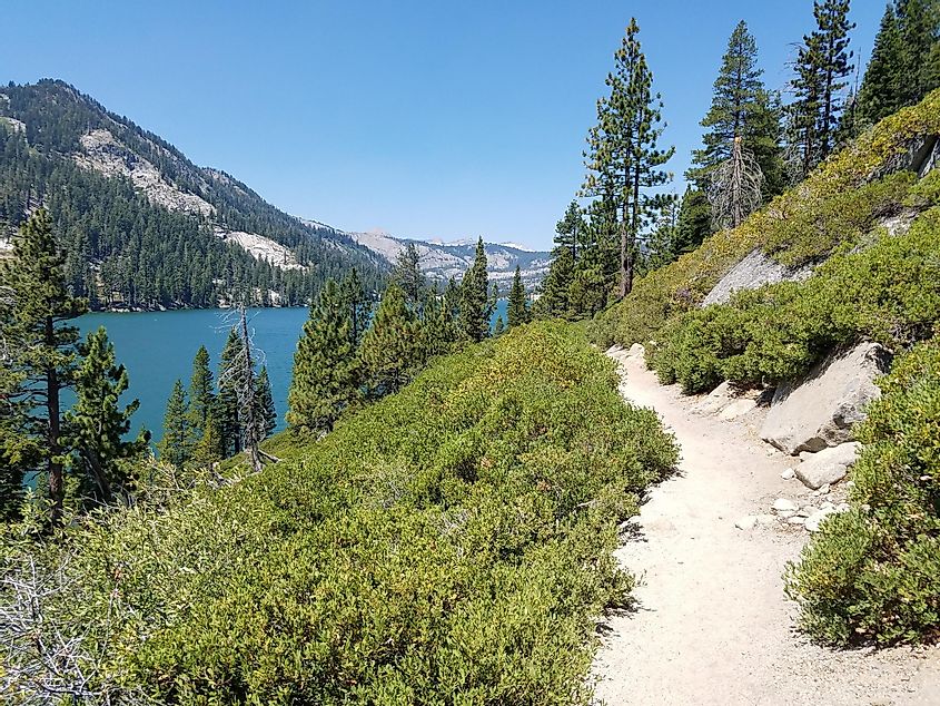 View of Echo lake from Tahoe rim trail/Pacific crest trail