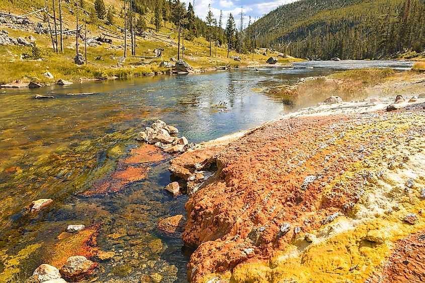 Hot springs in Yellowstone National Park, Wyoming.