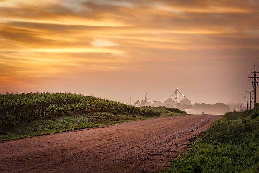 Early morning scene on a rural dirt road with rolling hills and cornfields near Seward, Nebraska.