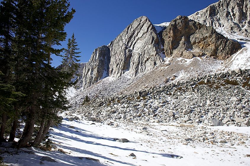 Medicine Bow-Routt National Park, Wyoming, in the winter.