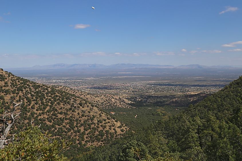 Sierra Vista from the Hamburg Trail Overlook, Ramsey Canyon, Arizona