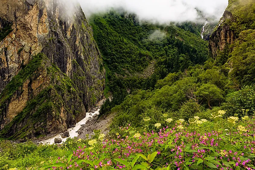 Valley of Flowers, India