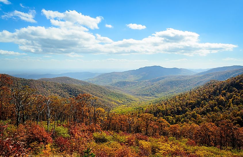 Spectacular fall landscape of the Shenandoah National Park.