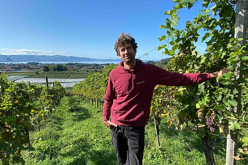 Lindau winery owner Claudius Haug