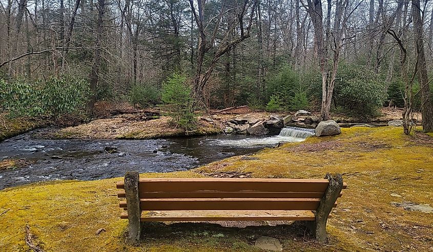 Trout Stream Trail in Skytop, Pennsylvania