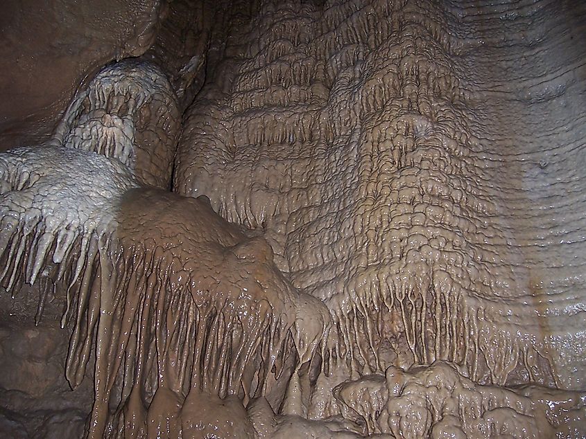Illinois Caverns State Natural Area 
