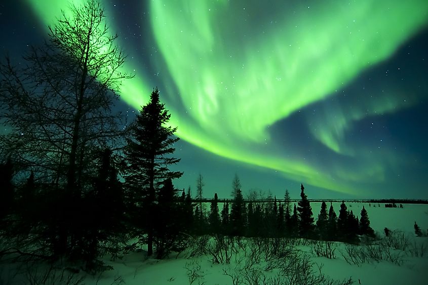 Wapusk National Park