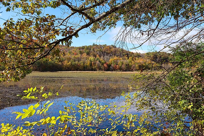 A view across Lake Bomoseen in Vermont to a hill covered with fall foliage