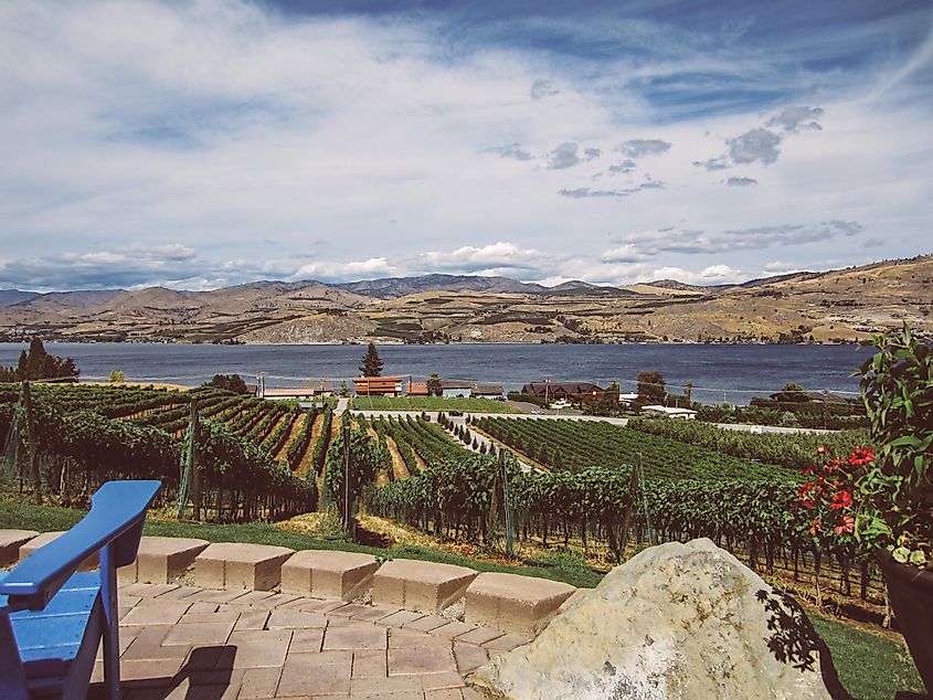 Vineyards that overlook Lake Chelan, WA
