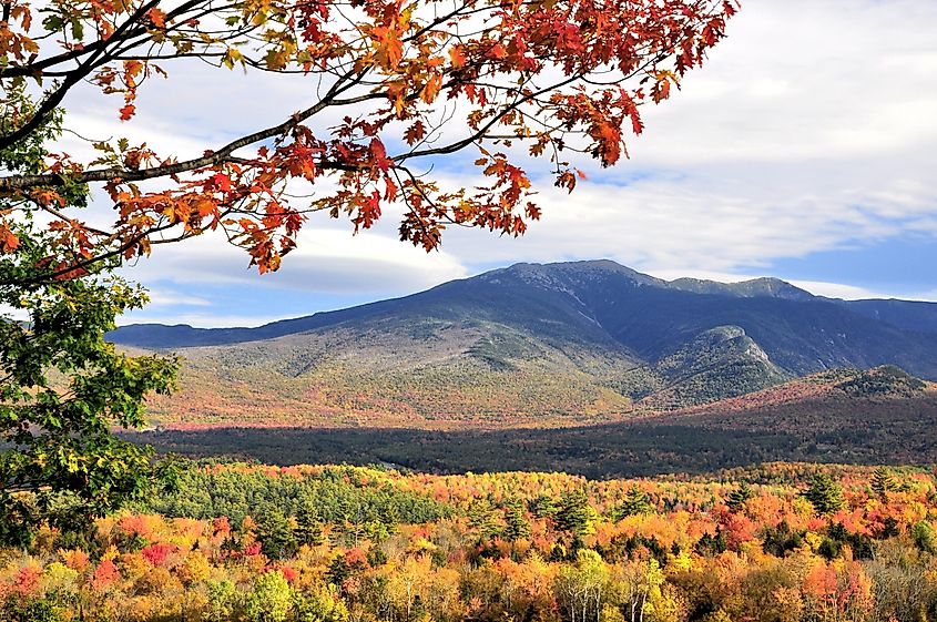 Scenic view from hillside in Sugar Hill, New Hampshire. Colorful autumn maple leaves framing summit of Mount Lafayette in Franconia Notch State Park.