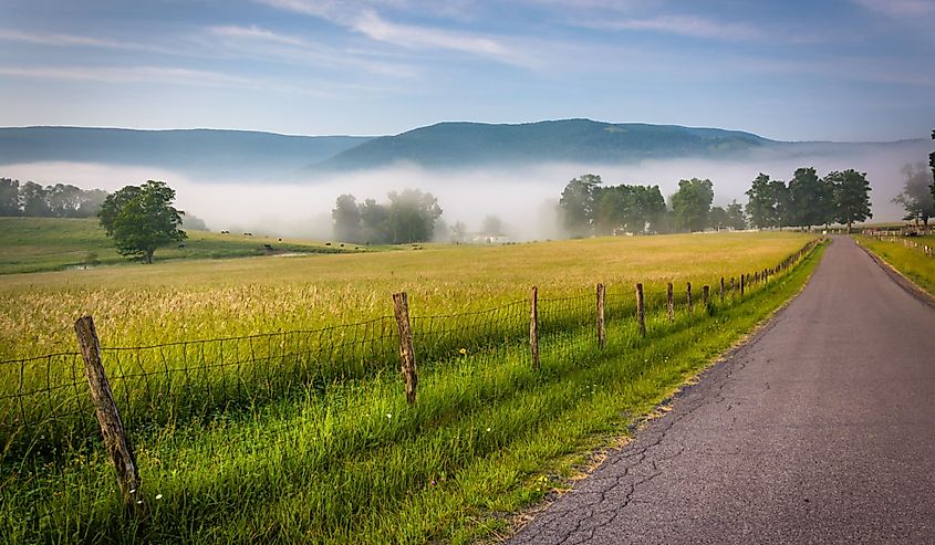 Farm fields along a country road on a foggy morning in the Potomac Highlands of West Virginia.