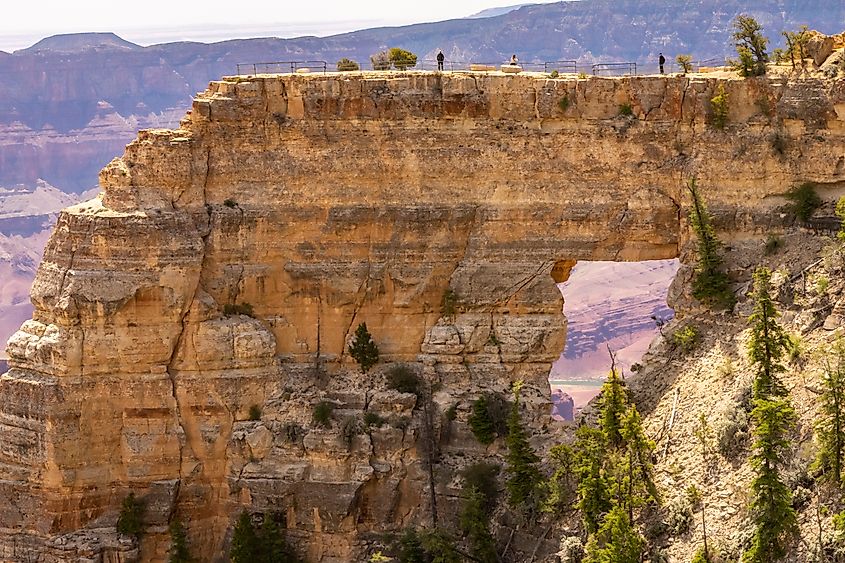Grand Canyon National Park, People atop overview point on North Rim.