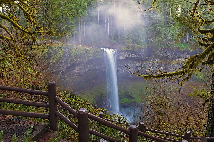 Hiking trails to South Falls at Silver Falls State Park on a foggy day