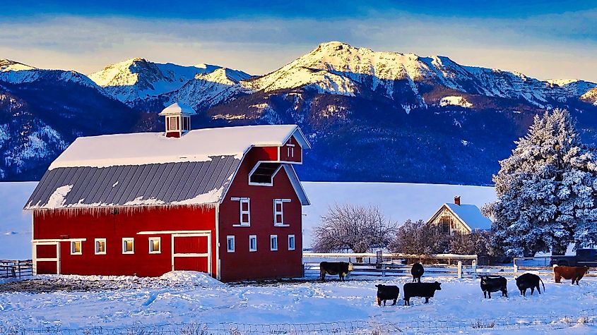 Winter view of Wallowa Mountains and traditional red barn on cattle ranch near Joseph, Oregon