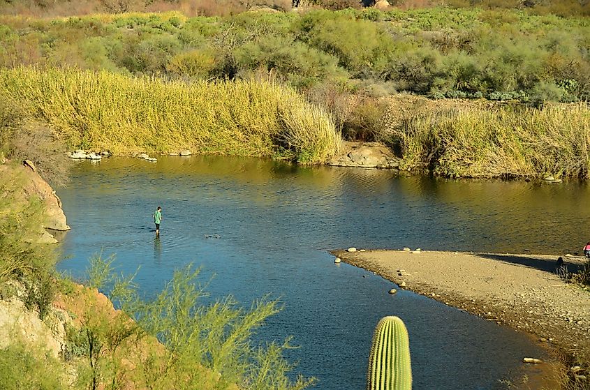 Fishing in Salt River near Phoenix, Arizona