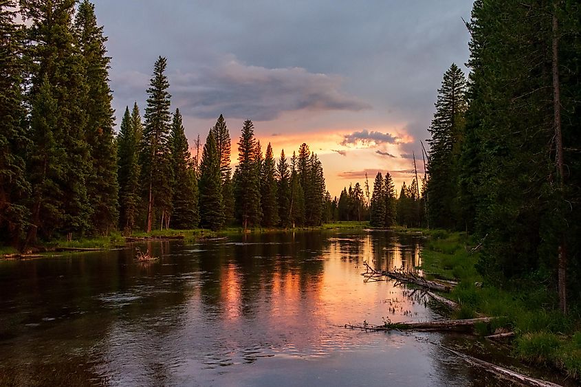 Sunset at Big Springs, Island Park, Idaho. Credit: T Schofield https://www.istockphoto.com/portfolio/TimSchofield?mediatype=photography