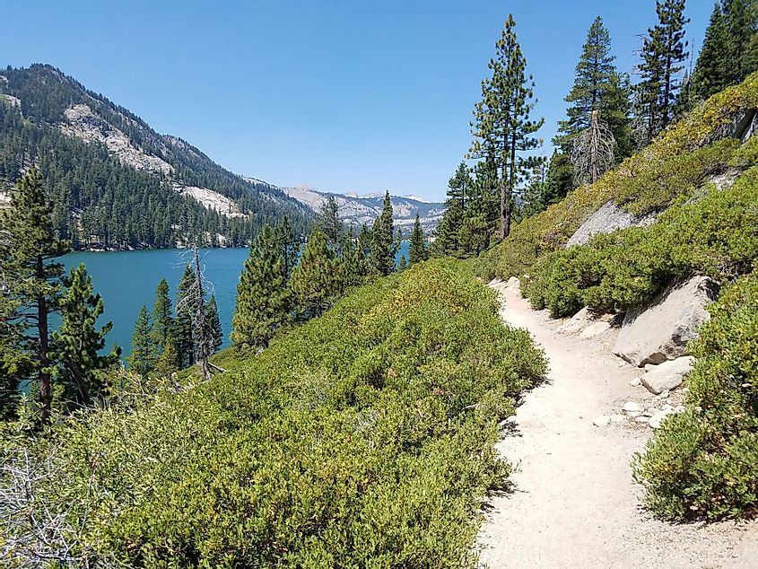 View of Echo Lake from Tahoe Rim Trail