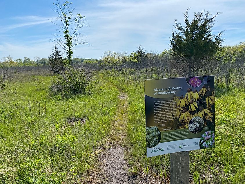 A sign describing the unique Alvar ecosystem in which it's posted.