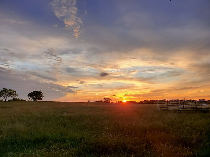 Sunset over Texas farm land.