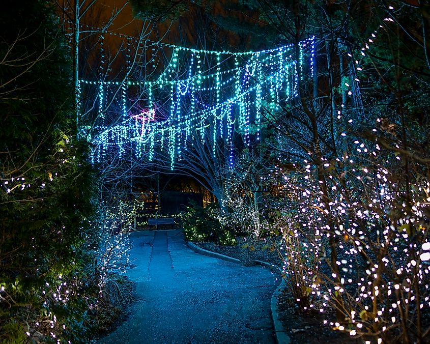 Beautiful Christmas Light Decorations at Festival of Lights in Cincinnati