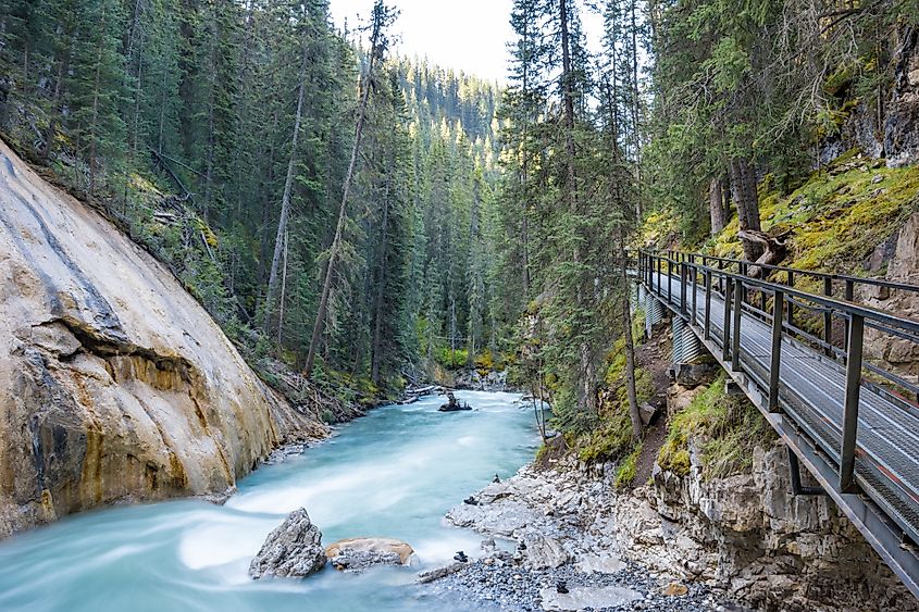 Johnston canyon