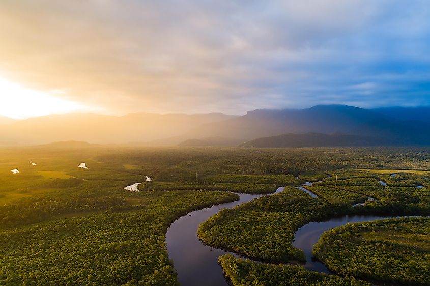 Amazon Rainforest in Brazil. Image used under license from Shutterstock.com.