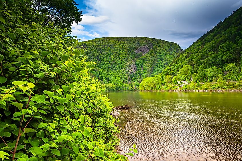 The Delaware Water Gap seen from Kittatinny Point in Delaware Water Gap National Recreational Area