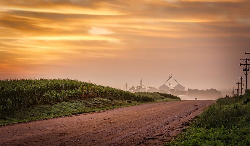 Early morning on a dirt road, with hills and cornfields, near Seward, Nebraska.