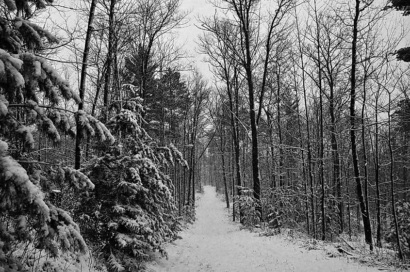 Schlecht Lake Trail - Minocqua, Wisconsin