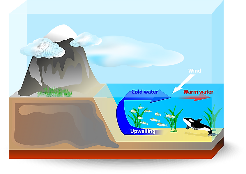 Illustration showing the upwelling mechanism.