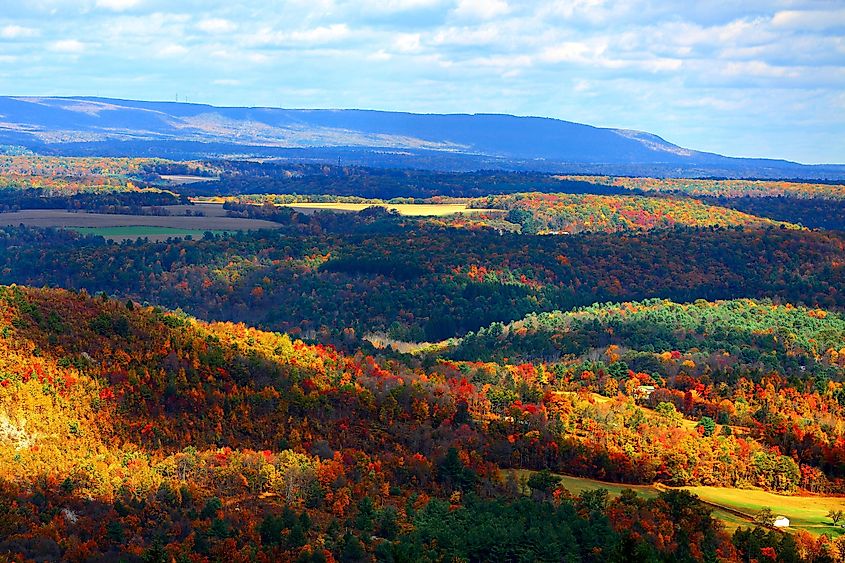 Colorful autumn foliage in the Blue Mountain Resort Palmerton, Pennsylvania.