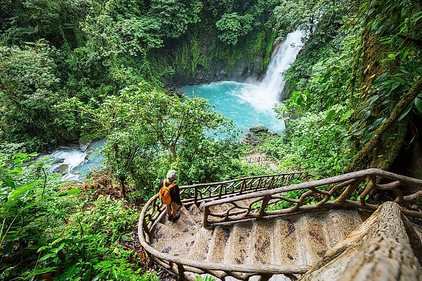 Costa rica rainforest