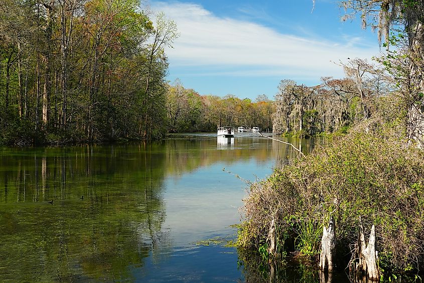 Wakulla Springs State Park.