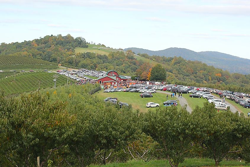 Fall colors at the Carter Mountain Orchard, Virginia