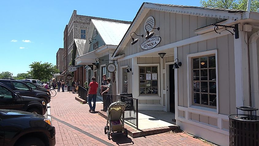 Historic district in Senoia, Georgia, showcasing traditional architecture and charming streets