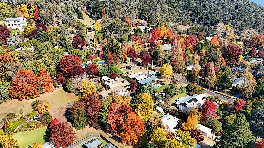 Aerial view of fall colours in the town of Bright in Australia.