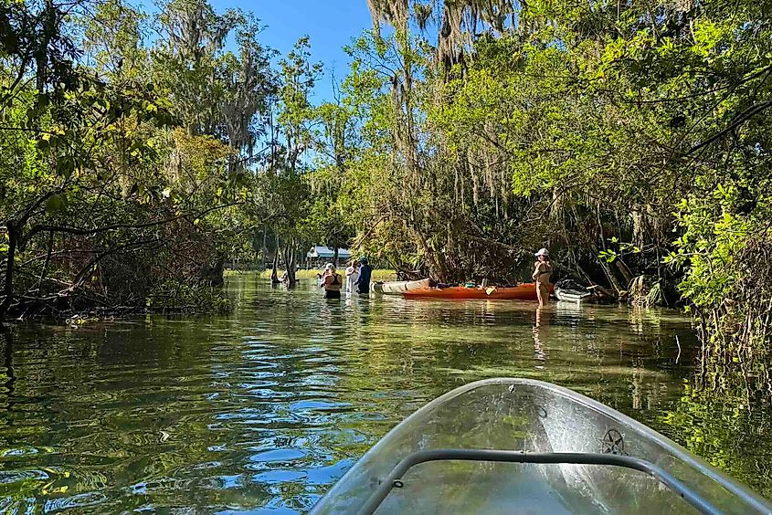 Rainbow River kayaking Image Credit Bryan Dearsley