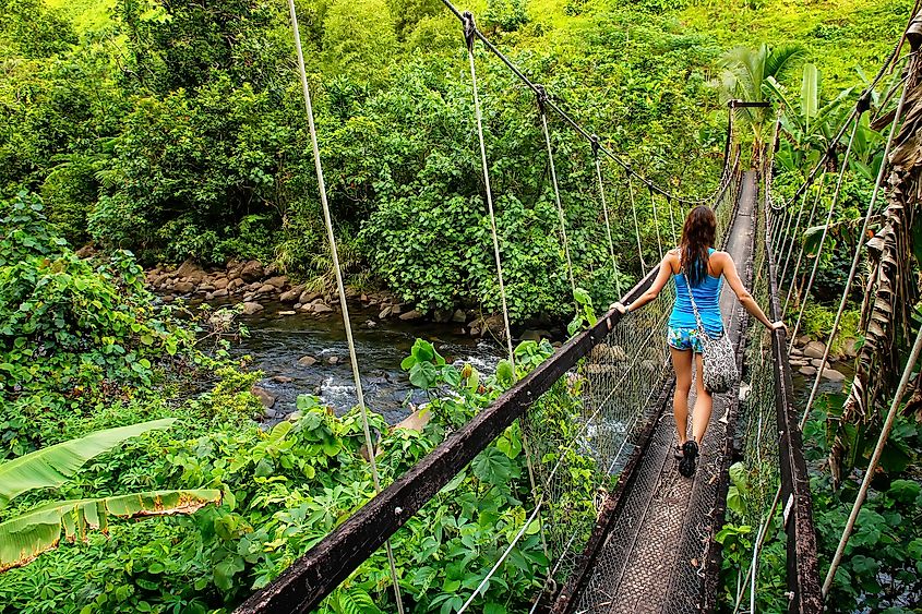 Young woman walking on suspension bridge over Wainibau stream, Lavena Coastal Walk, Taveuni Island, Fiji. Taveuni is the third largest island in Fiji. Image credit: Don Mammoser/Shutterstock.com