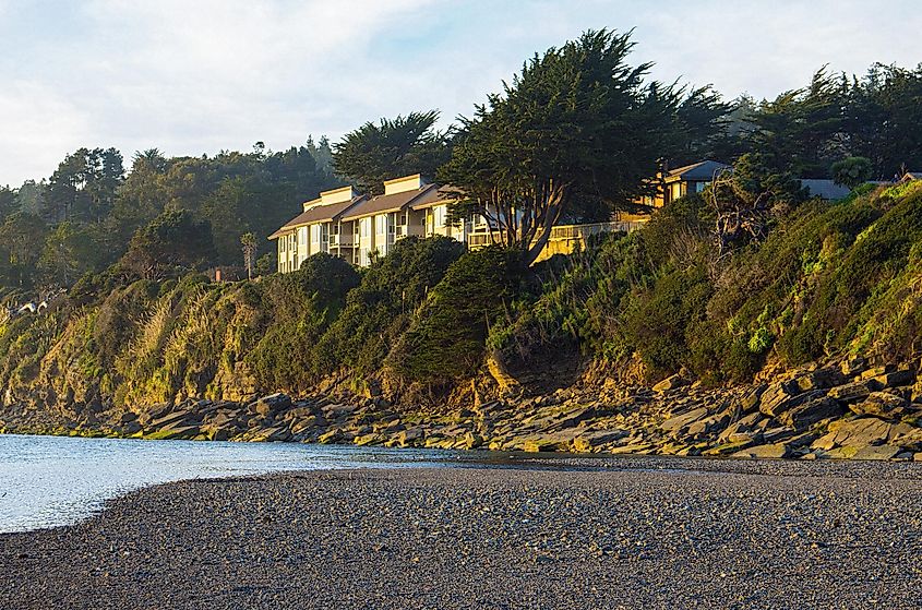 The coastline in Gualala, California